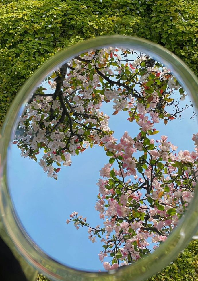 春去春又来 ​​​