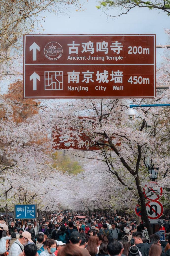 三月，南京的春