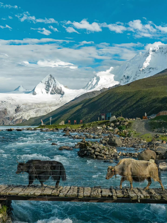 人类不能没有晴天☀️ ​​​