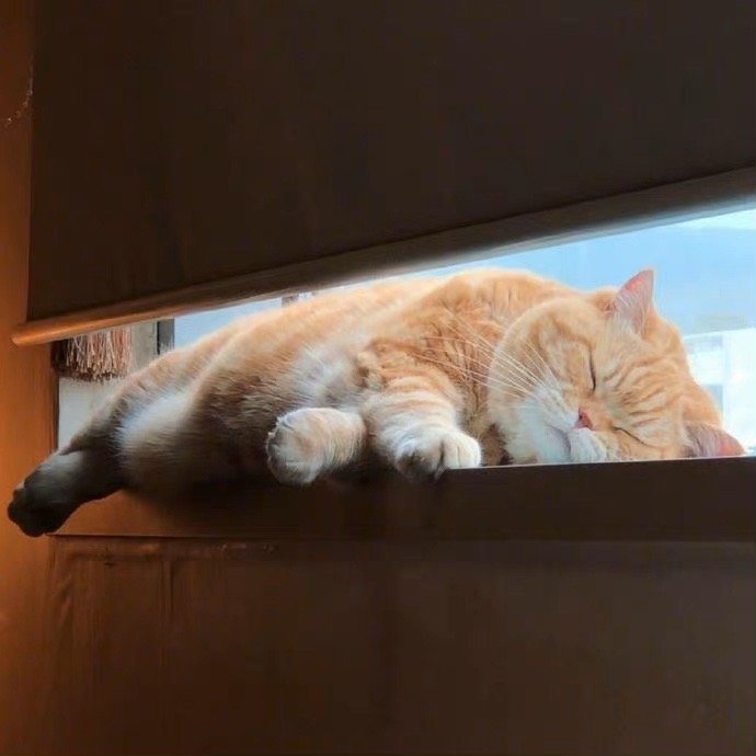 招财猫：请不要无视，真的很灵!!✨ ​​​