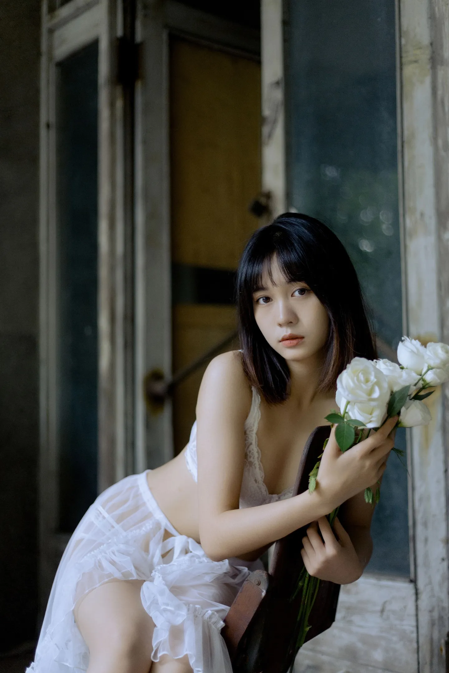 白玫旧梦，轻纱诉语。