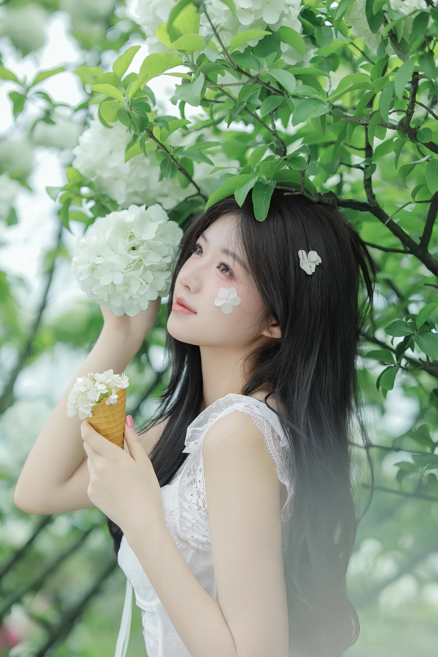 春日来信，误入绣球花野