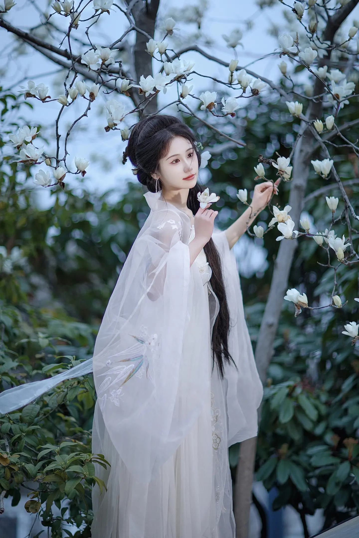 春风吹过玉兰花～