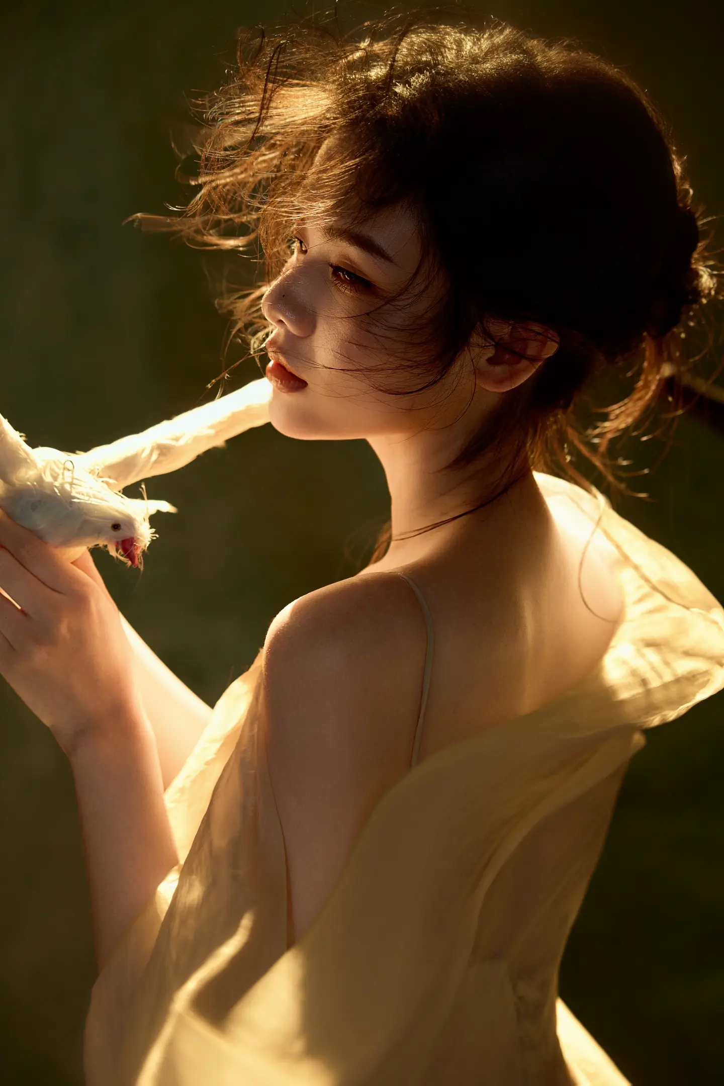 温柔，是光影给的答案